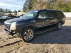 2009 Cadillac Escalade ESV Luxury