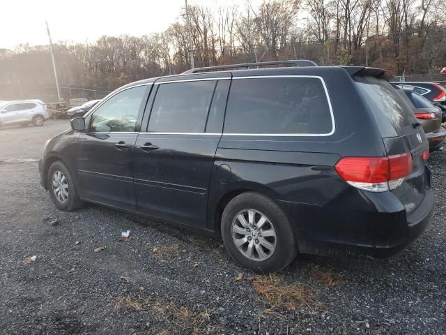 2008 Honda Odyssey EXL