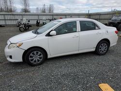 Salvage cars for sale at Arlington, WA auction: 2010 Toyota Corolla Base