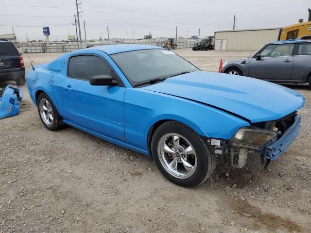 2010 Ford Mustang