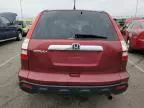 2007 Honda CR-V EX