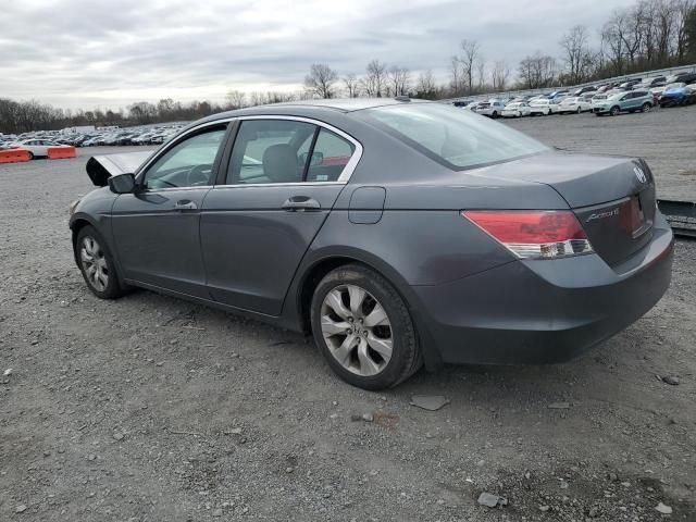 2008 Honda Accord EXL