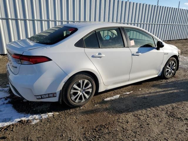 2020 Toyota Corolla LE