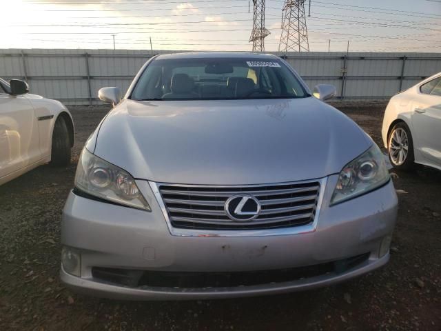 2010 Lexus ES 350