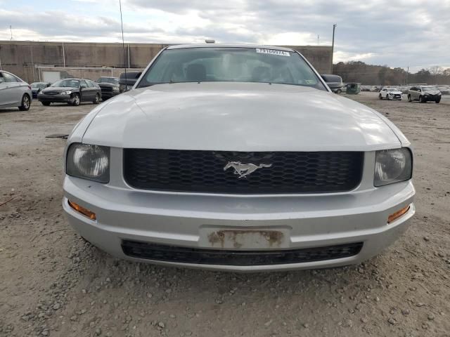 2005 Ford Mustang