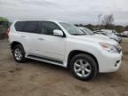 2013 Lexus GX 460