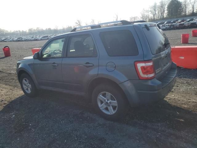 2010 Ford Escape Limited