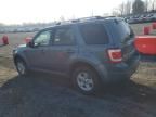 2010 Ford Escape Limited