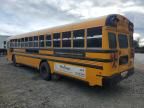 2019 Blue Bird School Bus / Transit Bus