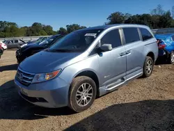 Salvage cars for sale at Theodore, AL auction: 2013 Honda Odyssey EXL