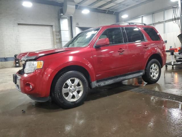 2010 Ford Escape Limited