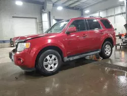 Ford salvage cars for sale: 2010 Ford Escape Limited