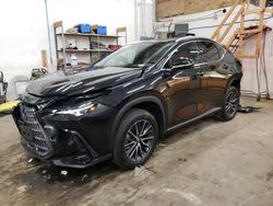 2025 Lexus NX 350H Base en venta en Ham Lake, MN