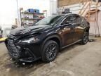 2025 Lexus NX 350H Base