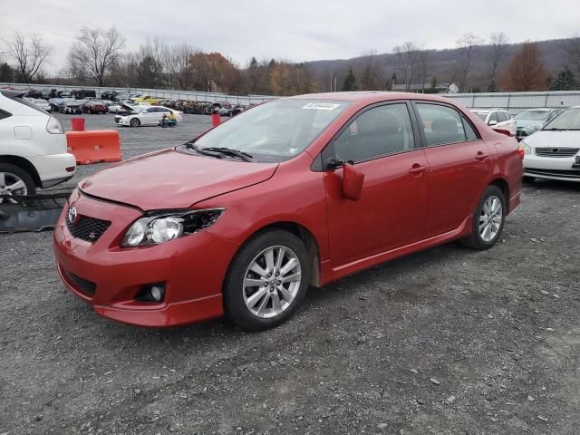 2010 Toyota Corolla Base