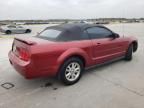 2006 Ford Mustang