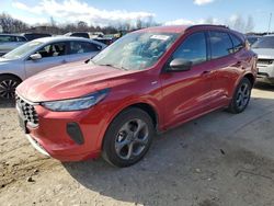 Salvage cars for sale at Duryea, PA auction: 2023 Ford Escape ST Line