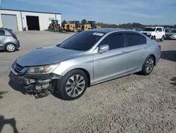 Honda Accord exl salvage cars for sale: 2014 Honda Accord EXL