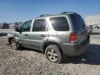 2006 Ford Escape XLT