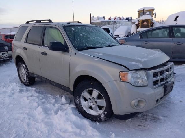 2009 Ford Escape XLT