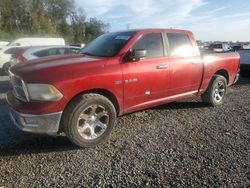 Salvage cars for sale at Riverview, FL auction: 2009 Dodge RAM 1500