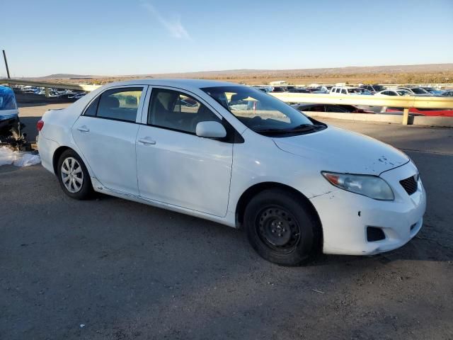 2010 Toyota Corolla Base