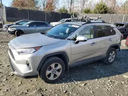 Salvage cars for sale at Waldorf, MD auction: 2019 Toyota Rav4 XLE