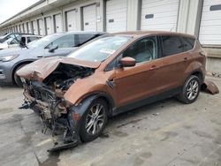 Salvage cars for sale at Louisville, KY auction: 2017 Ford Escape SE