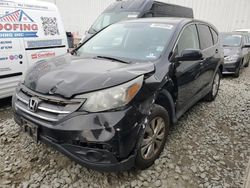 Honda Vehiculos salvage en venta: 2012 Honda CR-V EX