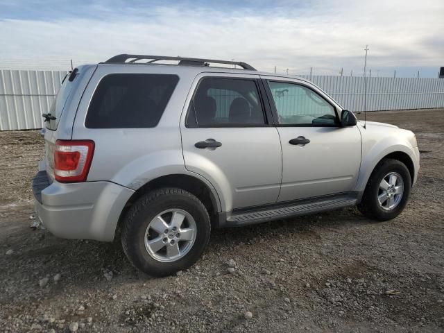 2009 Ford Escape XLT