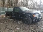 2010 Ford F150