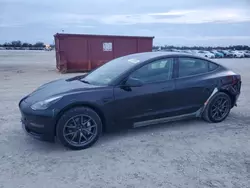 Salvage cars for sale at Arcadia, FL auction: 2023 Tesla Model 3