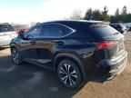 2019 Lexus NX 300 Base