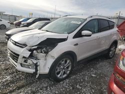 Salvage cars for sale at Cahokia Heights, IL auction: 2014 Ford Escape Titanium