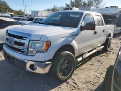 2013 Ford F150 Supercrew en venta en Riverview, FL