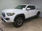 2019 Toyota Tacoma Double Cab