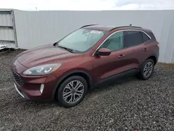 Ford Vehiculos salvage en venta: 2021 Ford Escape SEL