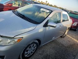 Toyota salvage cars for sale: 2010 Toyota Corolla Base