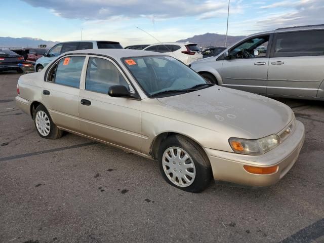 1995 Toyota Corolla Base