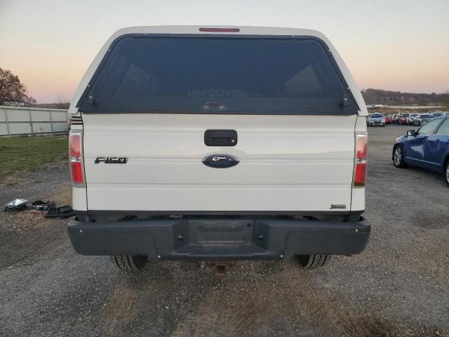 2010 Ford F150