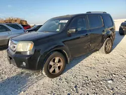 Honda salvage cars for sale: 2011 Honda Pilot EX