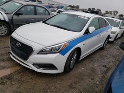 Hyundai salvage cars for sale: 2017 Hyundai Sonata Hybrid