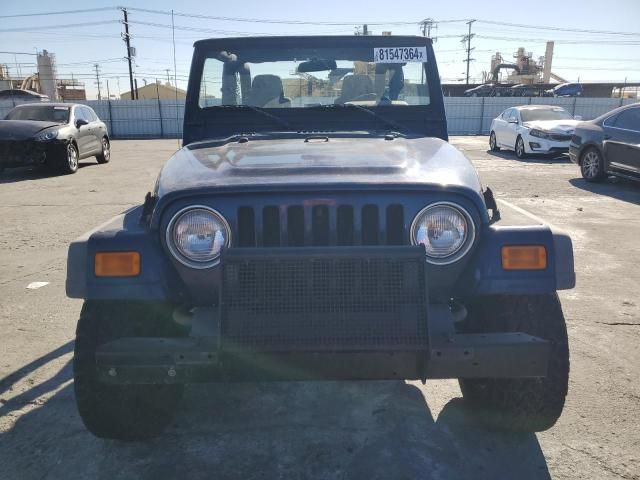 2003 Jeep Wrangler / TJ Sport