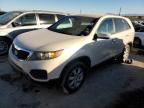 2011 KIA Sorento Base