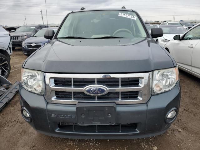 2009 Ford Escape XLT