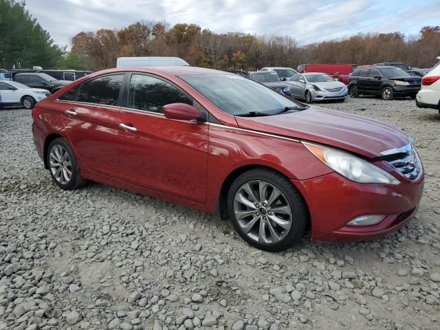 2011 Hyundai Sonata SE