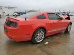 2013 Ford Mustang