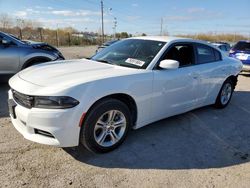 Salvage cars for sale at Indianapolis, IN auction: 2019 Dodge Charger SXT