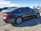 2010 Lexus LS 460