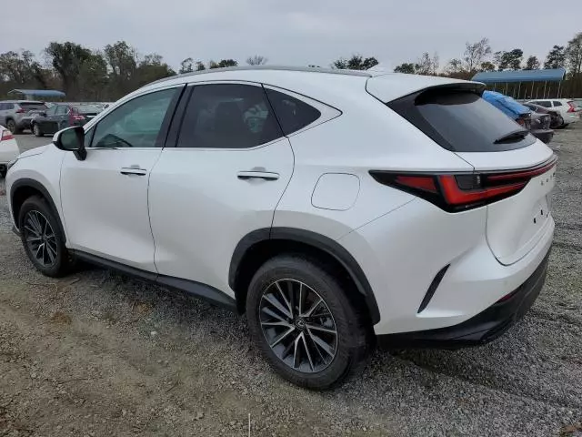 2025 Lexus NX 250 Premium